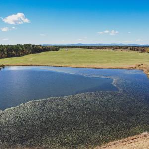 Photo #11 of 17 ROLLING RD S, SCOTTSVILLE, VA 17.4 acres