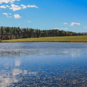 Photo #19 of 17 ROLLING RD S, SCOTTSVILLE, VA 17.4 acres