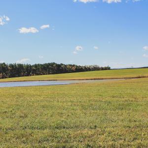 Photo #27 of 17 ROLLING RD S, SCOTTSVILLE, VA 17.4 acres