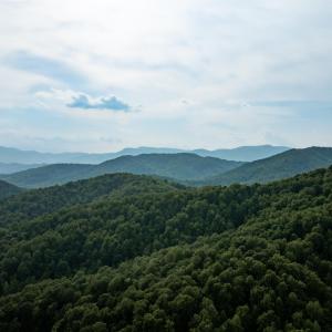 Photo #24 of 1390 PERKINS HOLLOW LN, FABER, VA 93.8 acres