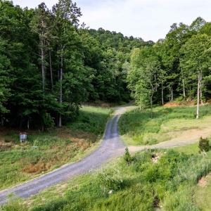 Photo #7 of 1390 PERKINS HOLLOW LN, FABER, VA 93.8 acres