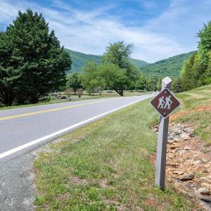 Photo #30 of 255 CEDAR GLEN CLOSE, NELLYSFORD, VA 0.4 acres