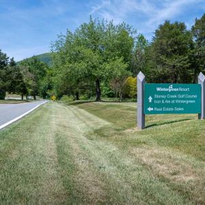 Photo #33 of 255 CEDAR GLEN CLOSE, NELLYSFORD, VA 0.4 acres