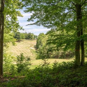 Photo #11 of 255 CEDAR GLEN CLOSE, NELLYSFORD, VA 0.4 acres