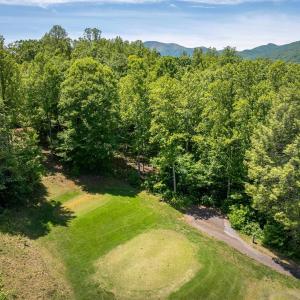 Photo #3 of 255 CEDAR GLEN CLOSE, NELLYSFORD, VA 0.4 acres