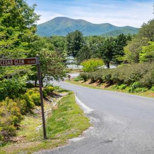 Photo #16 of 255 CEDAR GLEN CLOSE, NELLYSFORD, VA 0.4 acres