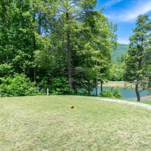 Photo #5 of 255 CEDAR GLEN CLOSE, NELLYSFORD, VA 0.4 acres
