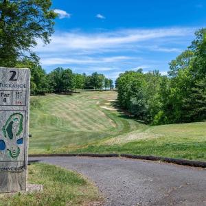 Photo #4 of 255 CEDAR GLEN CLOSE, NELLYSFORD, VA 0.4 acres
