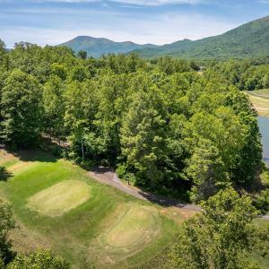 Photo #9 of 255 CEDAR GLEN CLOSE, NELLYSFORD, VA 0.4 acres