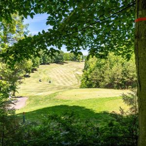 Photo #10 of 255 CEDAR GLEN CLOSE, NELLYSFORD, VA 0.4 acres