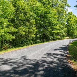 Photo #15 of 255 CEDAR GLEN CLOSE, NELLYSFORD, VA 0.4 acres