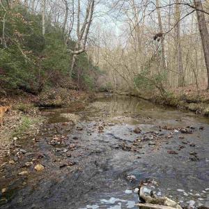 Photo #50 of PAYNES POND RD, SCOTTSVILLE, VA 118.0 acres
