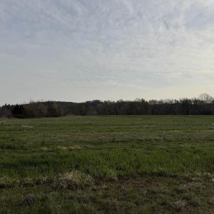 Photo #44 of PAYNES POND RD, SCOTTSVILLE, VA 118.0 acres