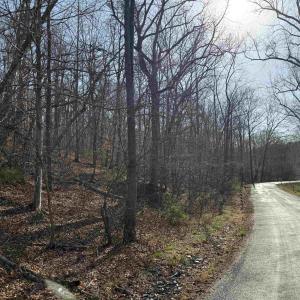 Photo #28 of PAYNES POND RD, SCOTTSVILLE, VA 118.0 acres