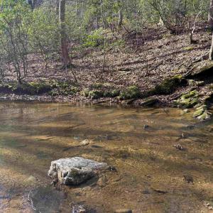 Photo #22 of PAYNES POND RD, SCOTTSVILLE, VA 118.0 acres