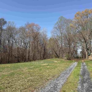 Photo #10 of PAYNES POND RD, SCOTTSVILLE, VA 118.0 acres