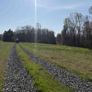 Photo #12 of PAYNES POND RD, SCOTTSVILLE, VA 118.0 acres