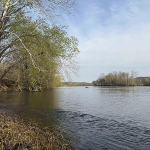 Photo #37 of PAYNES POND RD, SCOTTSVILLE, VA 118.0 acres