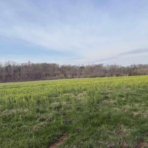 Photo #42 of PAYNES POND RD, SCOTTSVILLE, VA 118.0 acres