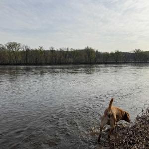 Photo #38 of PAYNES POND RD, SCOTTSVILLE, VA 118.0 acres