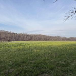 Photo #40 of PAYNES POND RD, SCOTTSVILLE, VA 118.0 acres