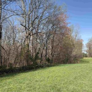 Photo #13 of PAYNES POND RD, SCOTTSVILLE, VA 118.0 acres