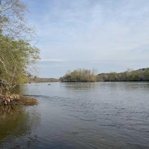 Photo #1 of PAYNES POND RD, SCOTTSVILLE, VA 118.0 acres