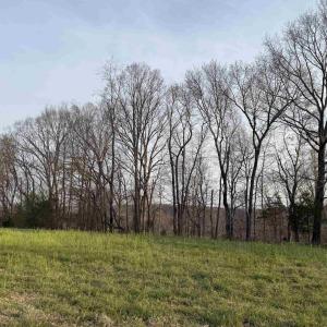 Photo #55 of PAYNES POND RD, SCOTTSVILLE, VA 118.0 acres