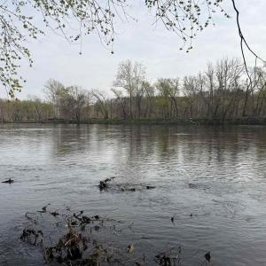 Photo #41 of PAYNES POND RD, SCOTTSVILLE, VA 118.0 acres