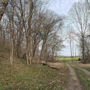 Photo #47 of PAYNES POND RD, SCOTTSVILLE, VA 118.0 acres