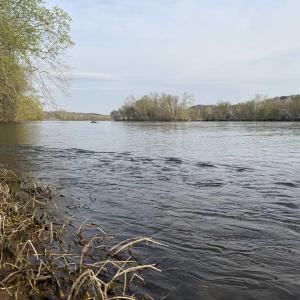Photo #30 of PAYNES POND RD, SCOTTSVILLE, VA 118.0 acres