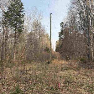 Photo #52 of PAYNES POND RD, SCOTTSVILLE, VA 118.0 acres