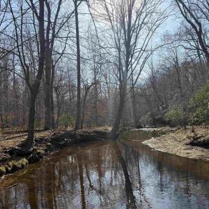 Photo #20 of PAYNES POND RD, SCOTTSVILLE, VA 118.0 acres