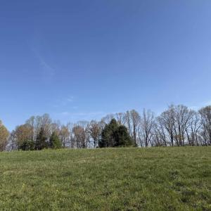 Photo #15 of PAYNES POND RD, SCOTTSVILLE, VA 118.0 acres