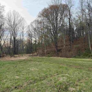 Photo #46 of PAYNES POND RD, SCOTTSVILLE, VA 118.0 acres