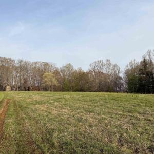 Photo #56 of PAYNES POND RD, SCOTTSVILLE, VA 118.0 acres