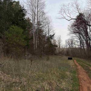 Photo #48 of PAYNES POND RD, SCOTTSVILLE, VA 118.0 acres