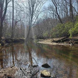 Photo #23 of PAYNES POND RD, SCOTTSVILLE, VA 118.0 acres