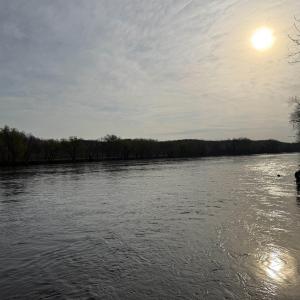 Photo #35 of PAYNES POND RD, SCOTTSVILLE, VA 118.0 acres