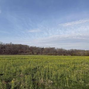 Photo #32 of PAYNES POND RD, SCOTTSVILLE, VA 118.0 acres