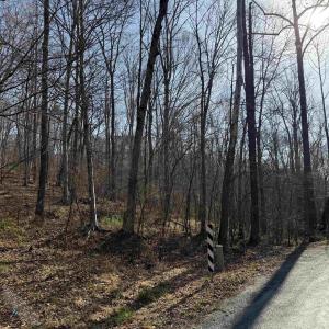 Photo #29 of PAYNES POND RD, SCOTTSVILLE, VA 118.0 acres