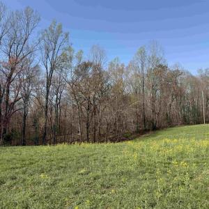 Photo #14 of PAYNES POND RD, SCOTTSVILLE, VA 118.0 acres
