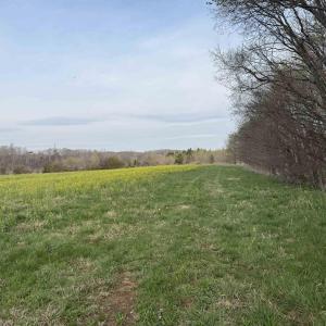 Photo #43 of PAYNES POND RD, SCOTTSVILLE, VA 118.0 acres
