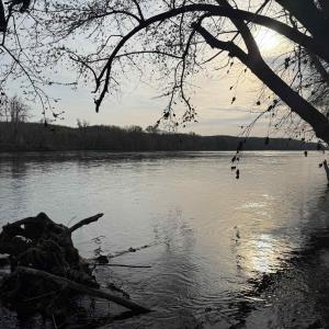 Photo #4 of PAYNES POND RD, SCOTTSVILLE, VA 118.0 acres
