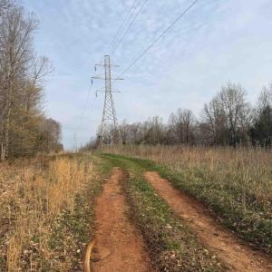 Photo #49 of PAYNES POND RD, SCOTTSVILLE, VA 118.0 acres