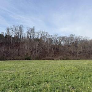 Photo #45 of PAYNES POND RD, SCOTTSVILLE, VA 118.0 acres
