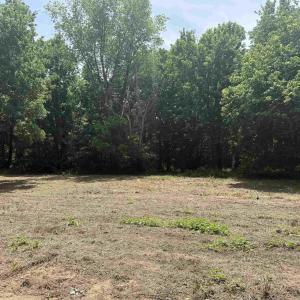 Photo #74 of PAYNES POND RD, SCOTTSVILLE, VA 118.0 acres