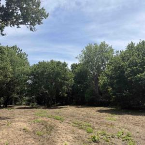 Photo #71 of PAYNES POND RD, SCOTTSVILLE, VA 118.0 acres
