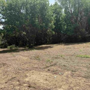 Photo #72 of PAYNES POND RD, SCOTTSVILLE, VA 118.0 acres