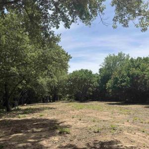 Photo #68 of PAYNES POND RD, SCOTTSVILLE, VA 118.0 acres